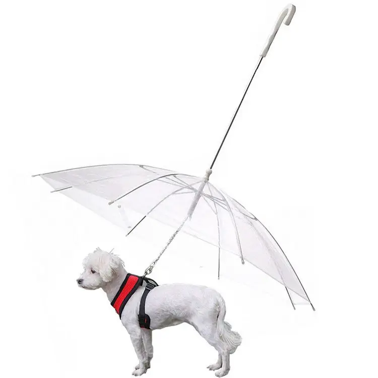 Şeffaf su geçirmez pet yağmur dişli köpek şemsiye tasma ile