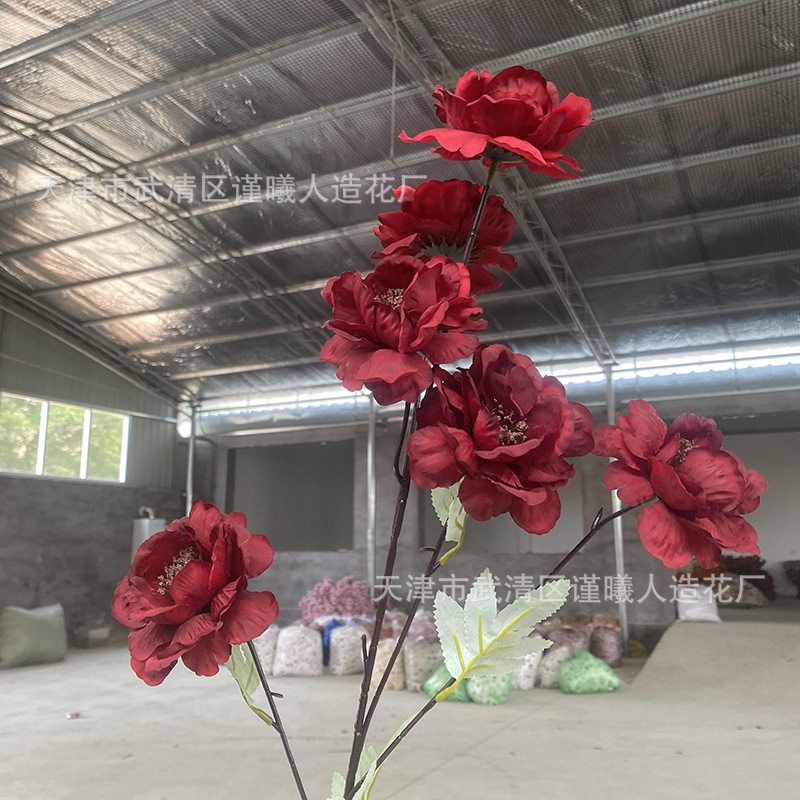 6 gardénias
