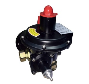 Công Nghiệp Cao/Áp Lực Trung Bình Của Nhãn Hiệu Áp Lực Giảm Bóng Nhôm Điều Chỉnh Khí OEM Tùy Chỉnh Cho Nhiệt Độ Thấp Phương Tiện Truyền thông - Product Image 6