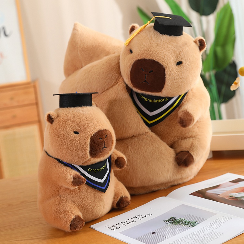 Doctor Hat capybara Guinea Pig Graduation Commemorative <strong>Gift</strong> School <strong>gifts</strong> for girl for boy - Product Image 4