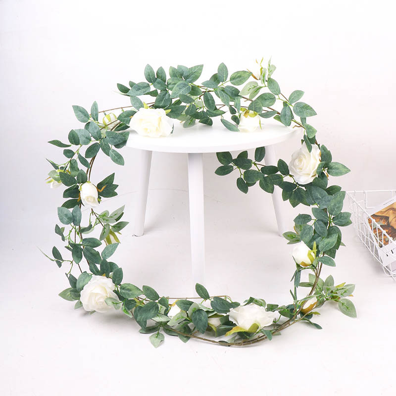 Nouvelle vigne de roses blanches