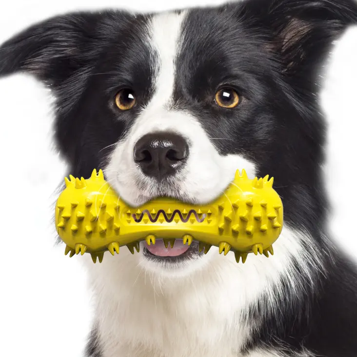 Hoge Kwaliteit Piepende Hond Kauw Speelgoed Natuurlijke Rubber Hond Tandenborstel Speelgoed, Duurzame Tandverzorging Tanden Schoonmaken Speelgoed