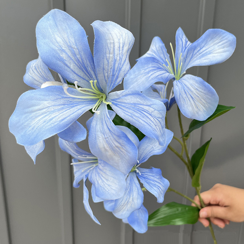 Blu-chiaro
