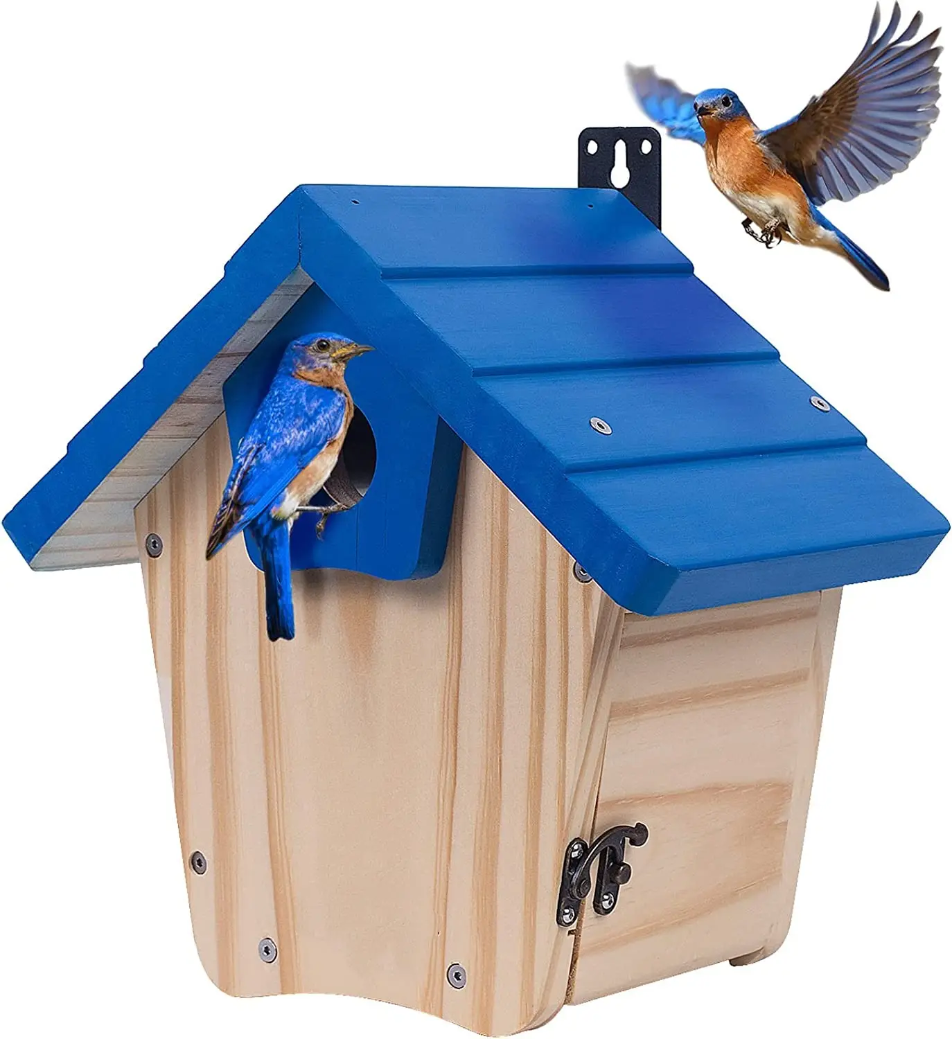 Açık kuş gözlemciliği için uygun predator muhafızları ile ahşap mavi kuş evi