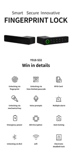 Classical klasik tarzı dijital parmak izi akıllı kapı kilidi Wifi App kontrol kartı şifre anahtar parmak izi dijital güvenlik kilidi - Product Image 2