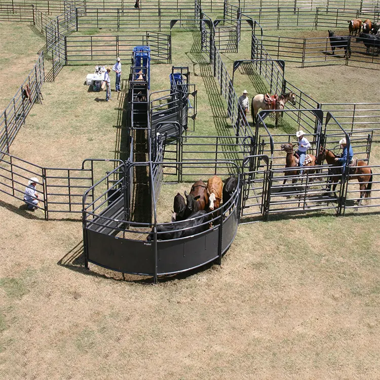 Usa 12ft Gepoedercoate Ronde Pen Ranch Paardenvee Corral Panelen