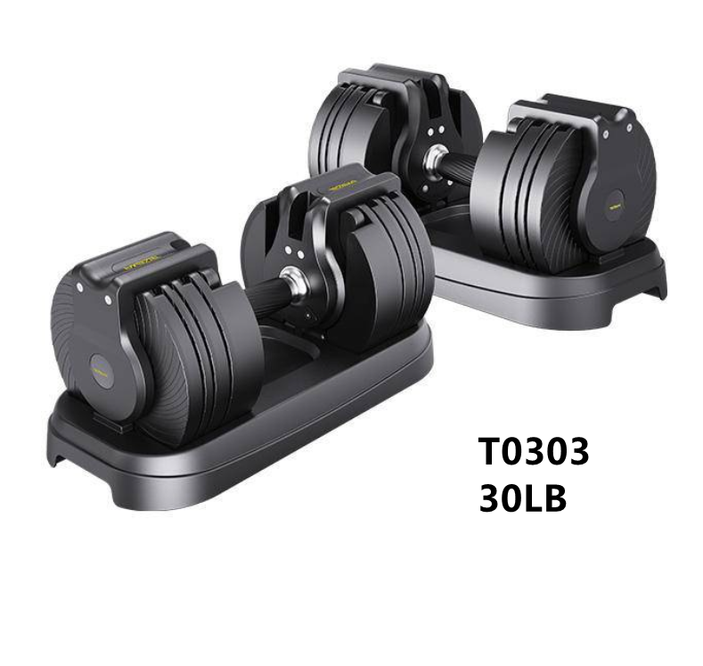 Type 2