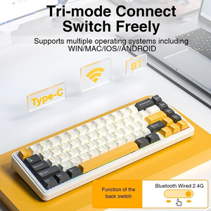 AULA F65 <strong>Custom</strong> Mechanical <strong>Keyboard</strong> 67 <strong>Keys</strong> 2.4G/Wired 4000mAh RGB Gasket Structure Newest Hot-Swap Model with PBT Material - Product Image 3