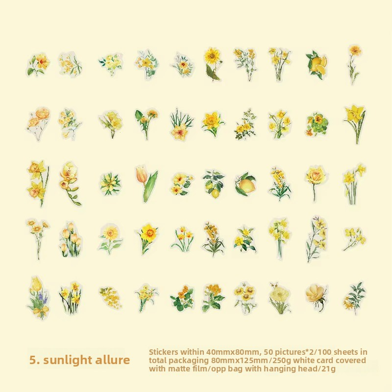 E 5.Sun Qingcheng-jaune