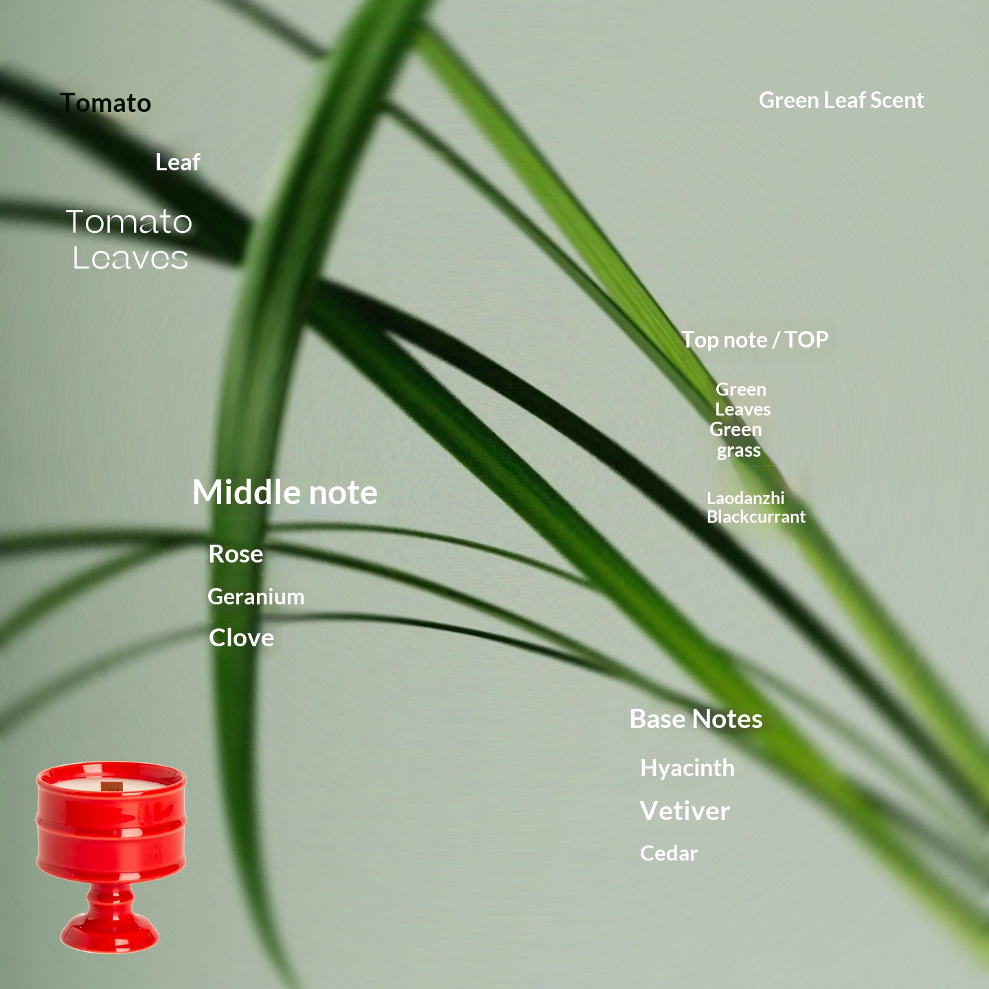 Red Cup - Tomato Leaves