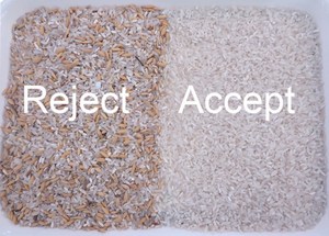 Máquina de clasificación Óptica infrarroja, clasificación de color de arroz, tamaño de la forma, multifunción de alta velocidad, clasificador de color de arroz blanco y amarillo - Product Image 4