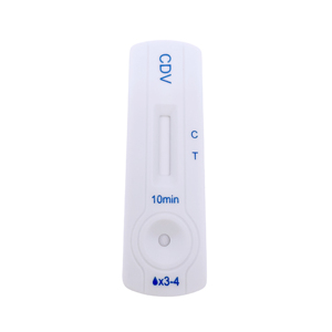 ชุดทดสอบสัตวแพทย์สำหรับ CDV canine feline และ injection ทดสอบสัตว์เลี้ยงสะดวกสำหรับสัตวแพทย์ - Product Image 1