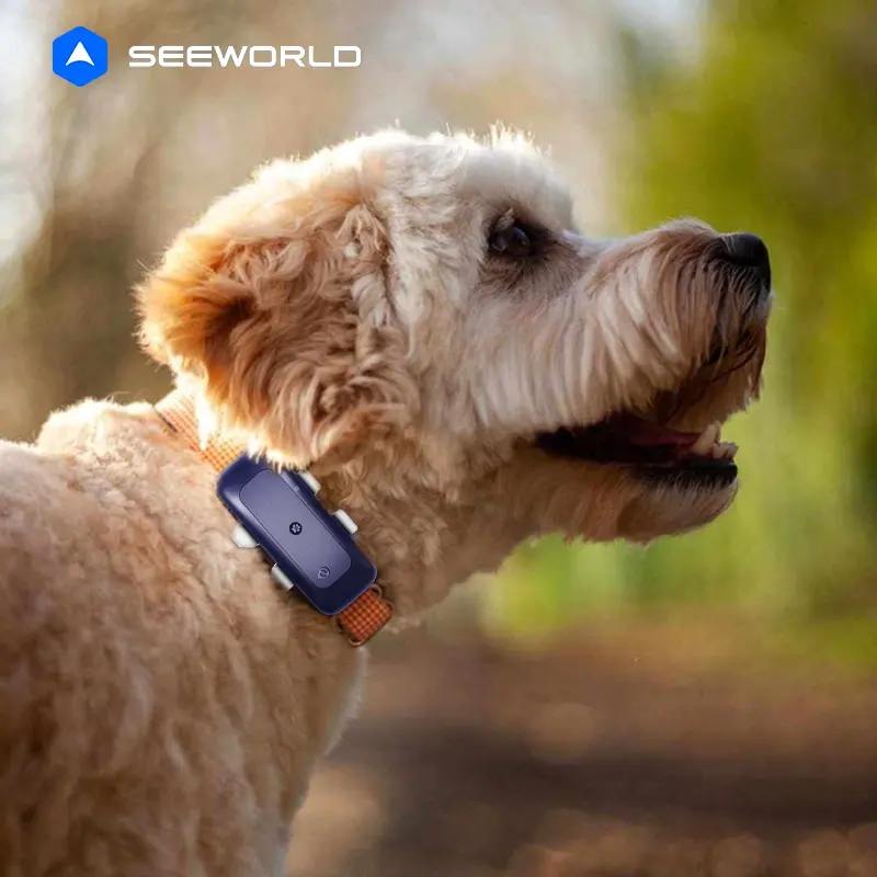 IP67 Animal pequeño Mini Collar Precio barato Perro Gato Buscador inteligente Localizador 4G Seguimiento en tiempo real Rastreador GPS para mascotas