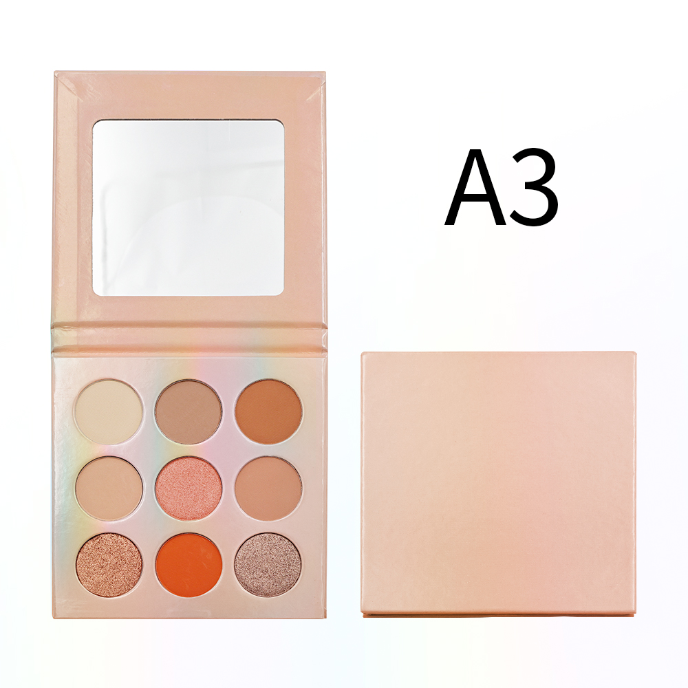 A3.1
