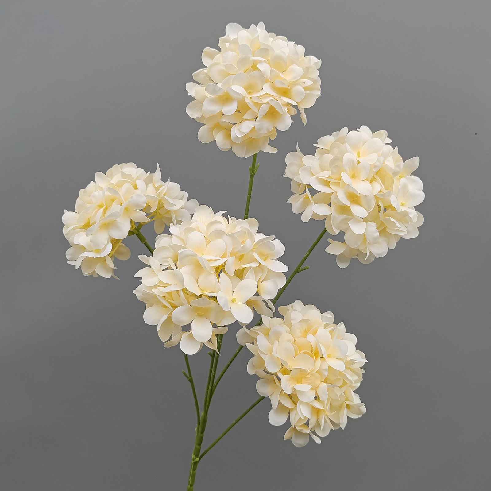 5 Heads Hydrangea-Champagne-77cm
