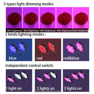 ไฟ LED ปลูกพืชแบบฟูลสเปกตรัมไฟ USB 5V พร้อมคลิป360 ° หรี่แสงได้แบบคอห่านปรับได้ระยะเวลาการเติบโตอัตโนมัติเปิด/ปิด vegs - Product Image 4