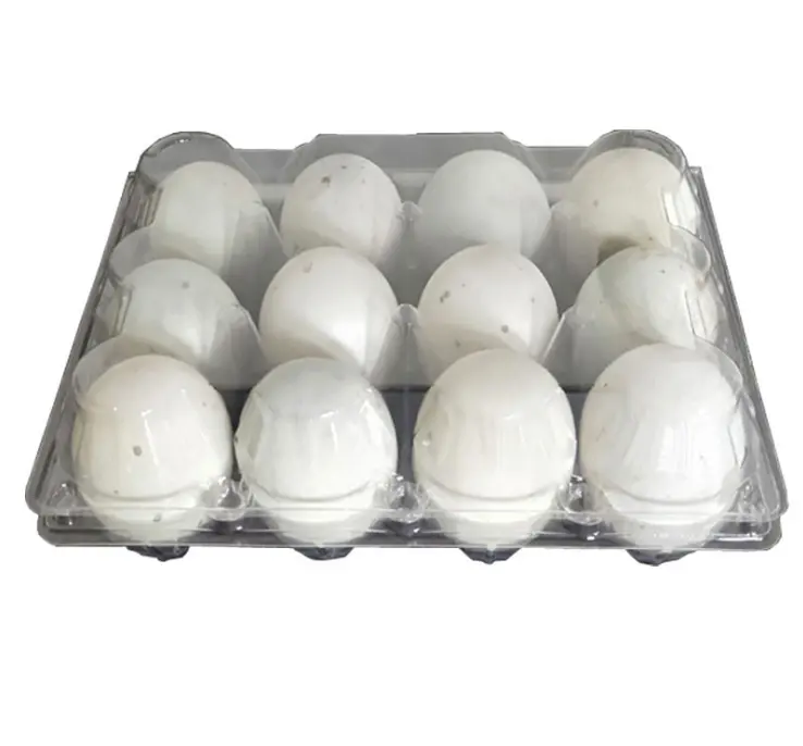 10 tipos desechables China OEM bandejas con bisagras de plástico y Material de uso alimentario de bandeja de huevos de la ampolla