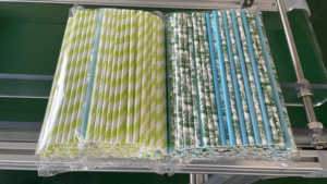 自动计数多支吸管包装机组纸吸管OPP包装机 - Product Image 6