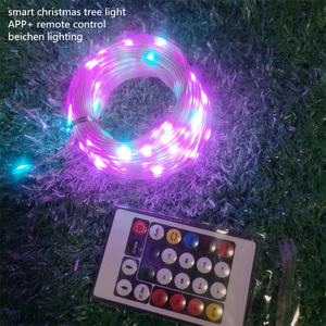 USB WiFi APP <strong>Remote</strong> Control RGB Christmas Tree <strong>Lights</strong> IP67 Indoor/Outdoor LED Fairy <strong>String</strong> <strong>Lights</strong> - Product Image 2