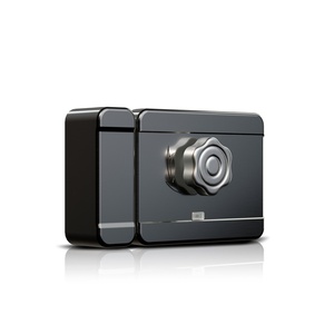 High-quality Waterproof Fingerprint Smart Door Lock Multiple Unlock Ttlock Tuya Electronic Intelligent Lock Rim Lock for Gates - Product Image 4