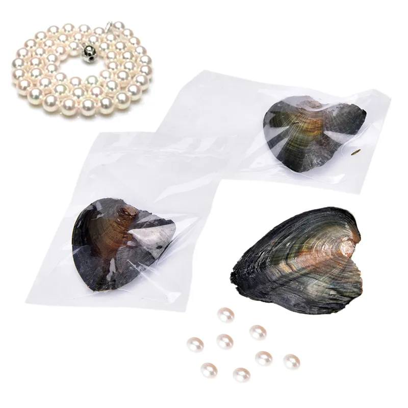 Shell wish oyster pérola embalado à vácuo, 7-8mm cor aleatória/em forma de pérolas reais naturais em oyster, jóias, presentes