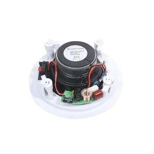 高性能2路6英寸30w天花板扬声器，易于安装，价格优惠 - Product Image 1