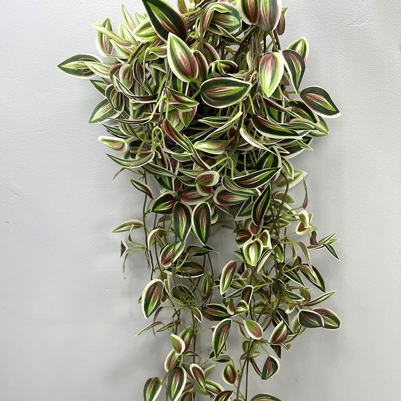 green01