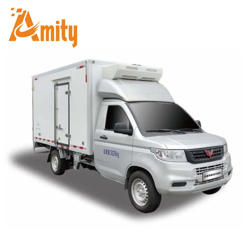 Wuling Bingxuewangzi Pure electric light truck 2 Seat Electric Small LHD Food Van Used New Energy Refrigerator Truck