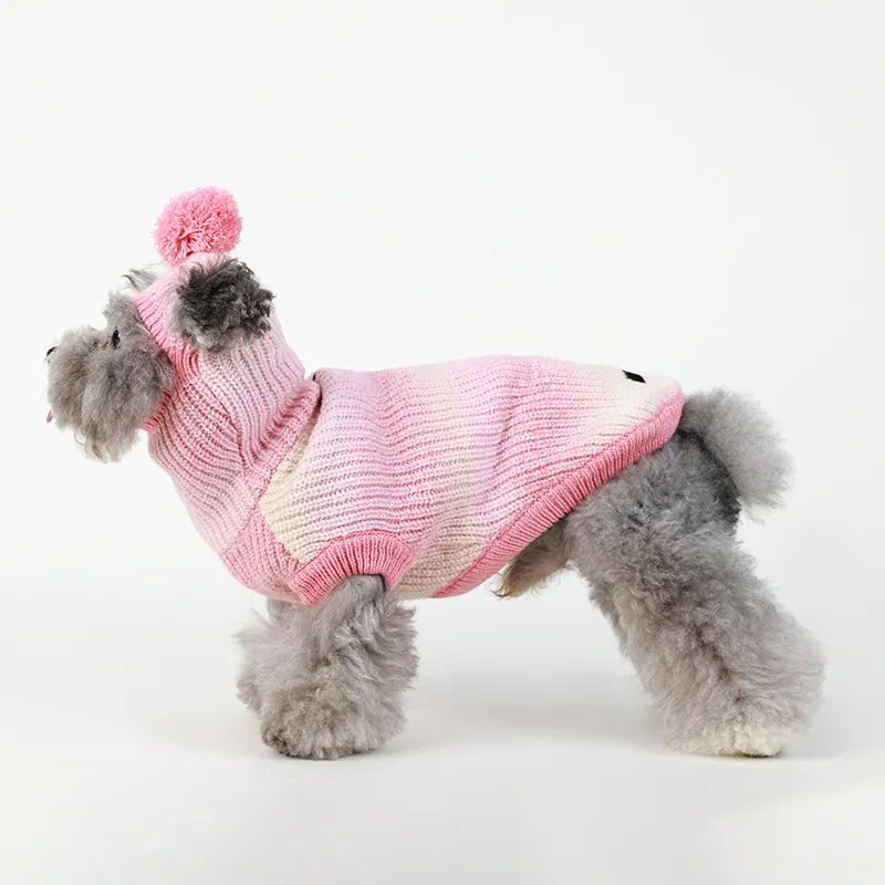 OEM caldo moda gradiente rampa maglione Pet cotone vestiti per cani