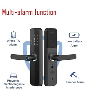 Tuya Smart Lock produttore senza chiave telecomando Wifi Fingerprint Lock per porte in acciaio legno Memory Card di archiviazione dati