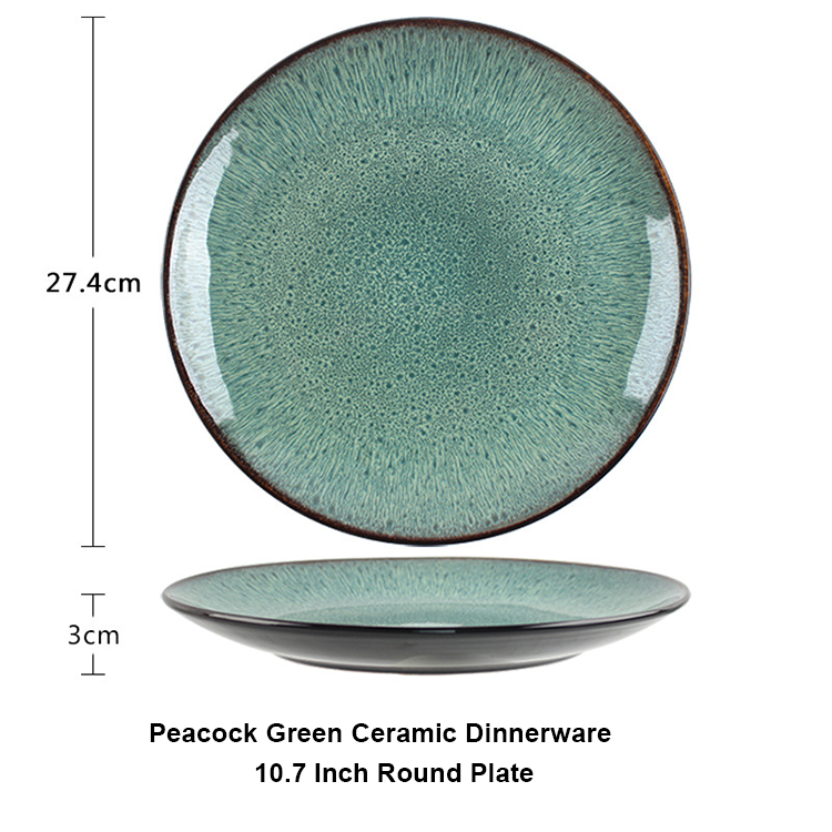 Assiettes de 10,7 pouces