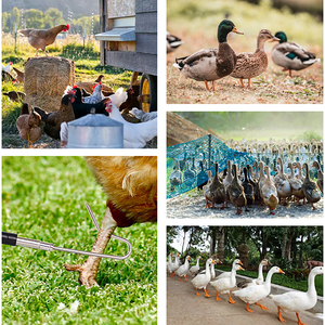 Trọng lượng nhẹ Kính thiên văn cực với điều chỉnh thép không gỉ bò sát và gia cầm móc - Product Image 6