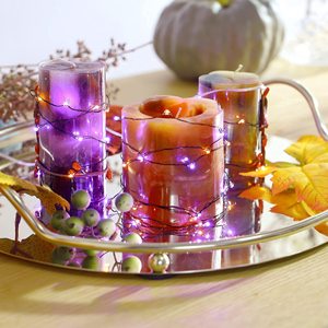 Halloween Indoor <strong>String</strong> <strong>Lights</strong> 10ft 60LEDs Copper Wire <strong>with</strong> Remote <strong>Timer</strong> Fall Decorations Home Thanksgiving Great Christmas Too! - Product Image 2