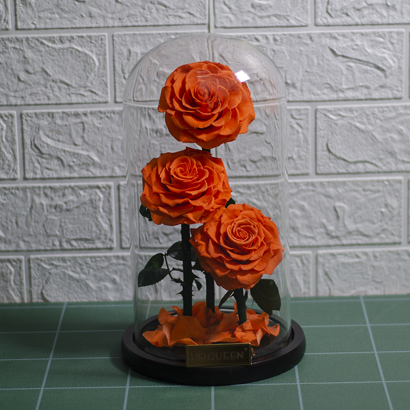 6 arancione
