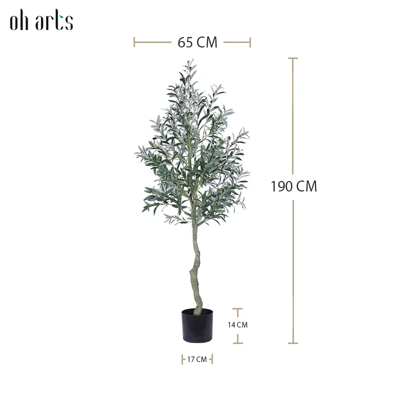 OH025061Vert