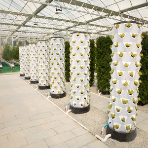 Hiện đại thủy canh dứa tháp dọc soilless canh tác canh tác hidroponic tự động dứa tháp vườn - Product Image 6