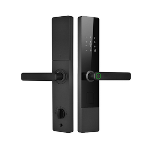デジタル入力ドアロックフロント3D顔認識指紋エレクトロニカ住宅用スマートロックタイプC充電ポート付き - Product Image 1