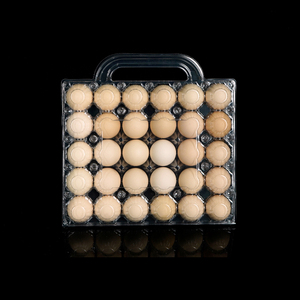 Chất Lượng Hàng Đầu Và Giá Tốt Tái Sử Dụng Cầm Tay Trứng Collector Loại Cầm Tay Nhựa Khay Trứng Cho Các Trang Trại Nhỏ & Hộ Gia Đình Sử Dụng - Product Image 4