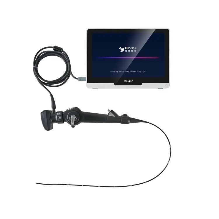 Sistema de endoscopio Digital HD para clínica veterinaria, cámara endoscópica portátil, sistema endoscópico flexible para mascotas