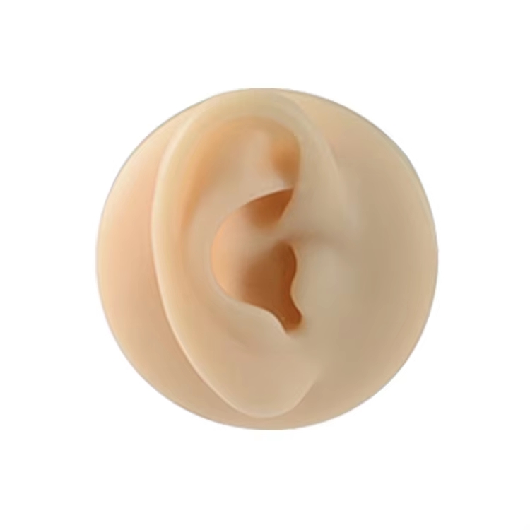 Oreille droite en chair (sans présentoir)