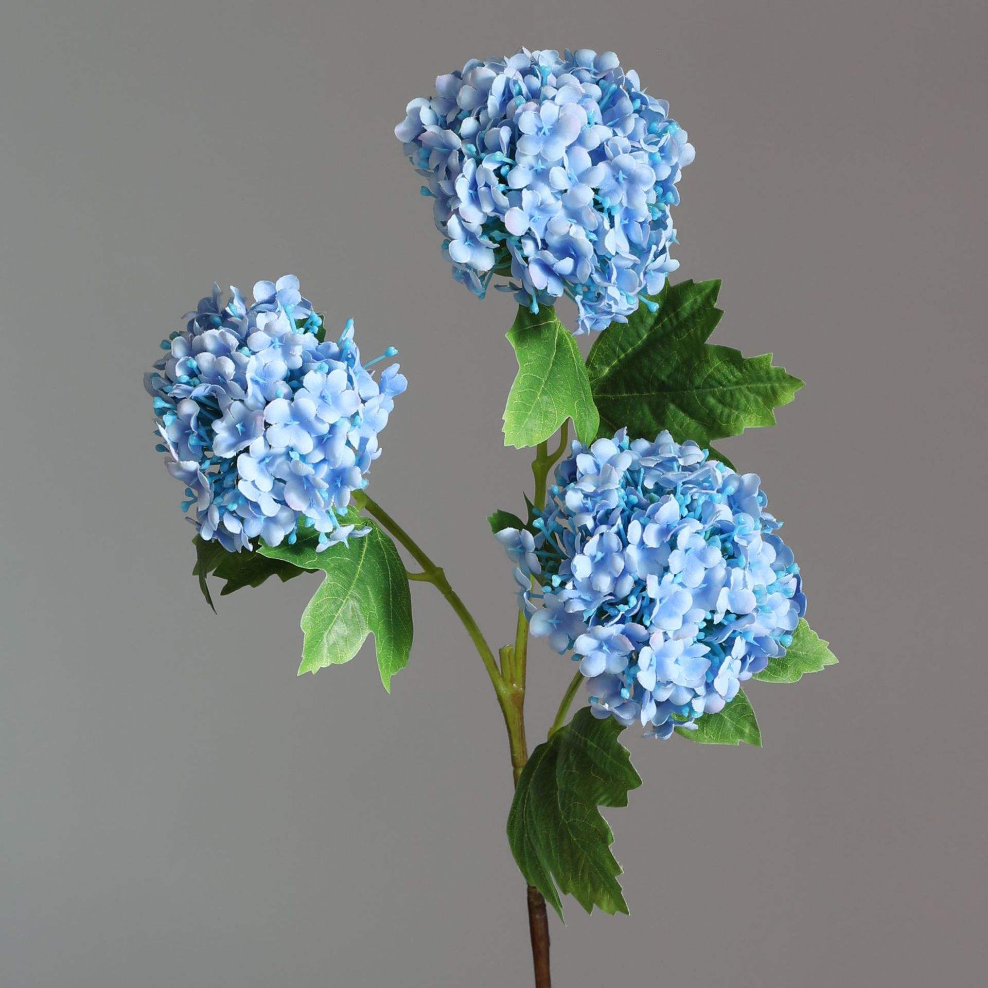 สีน้ำเงินเข้ม