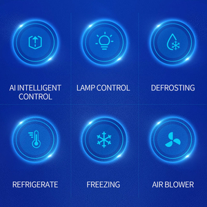 Termostato para descongelación, controlador de temperatura inteligente, sensor dual, alarma de descongelación, nuevo - Product Image 5