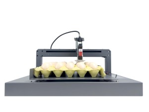 Dongning stampante per data di scadenza industriale Tij Smart Eggs Coder per uova da tavolo con cartuccia di inchiostro rosso