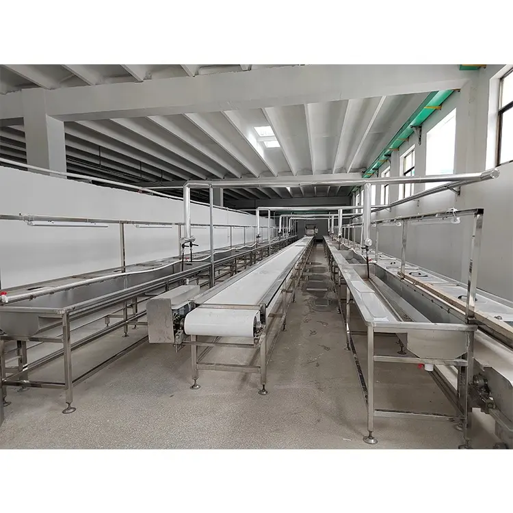 Türkiye kesim ekipmanları 1000bph tavuk işleme tesisi kesim ekipmanları