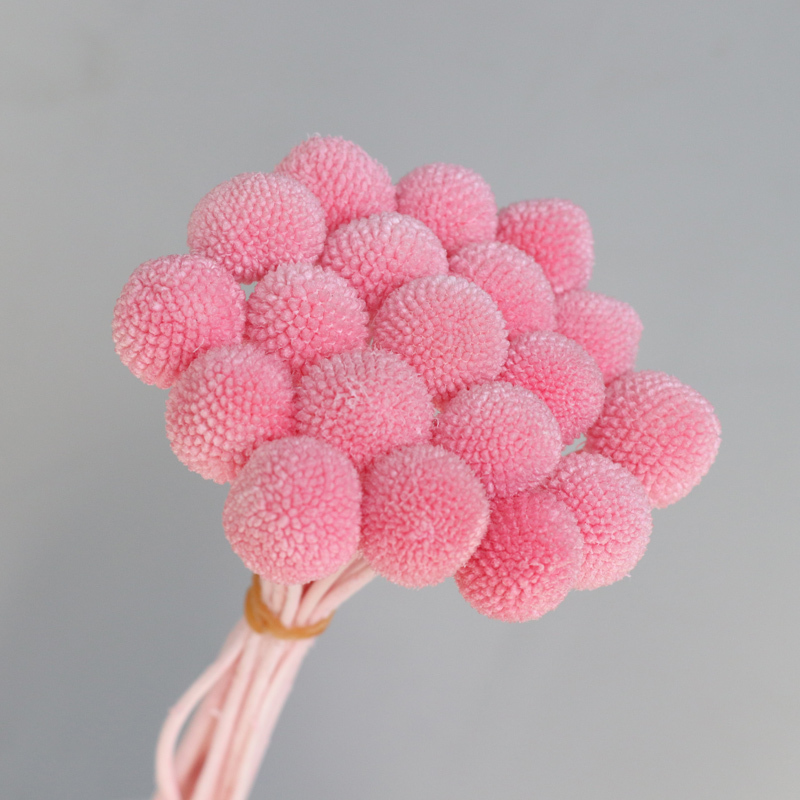 sakura pink