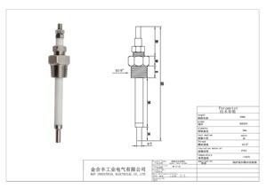Sonda de electrodo de nivel de agua de acero inoxidable, sonda de controlador de nivel de líquido de alta temperatura automática para vapor de caldera