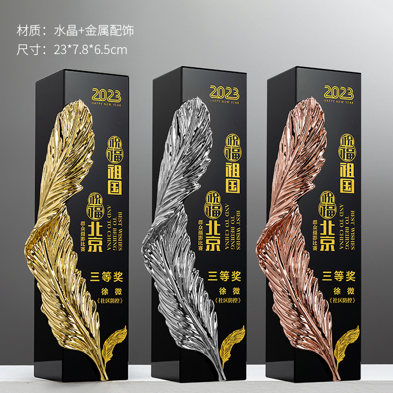 Modelo Elite Award-07