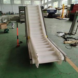 Z型倾斜输送机，用于物料搬运输送机系统 - Product Image 2