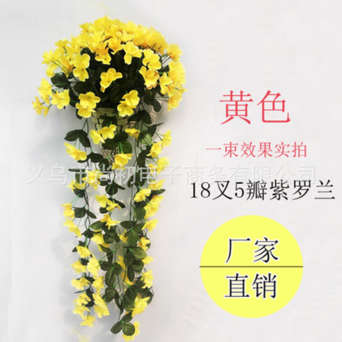 Five-petaled large violet-yellow