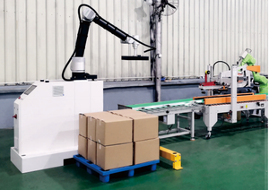 Braccio automatico del Robot di pallettizzazione carico 100kg per la scatola di cartone impilamento in magazzino, CE certificata - Product Image 6